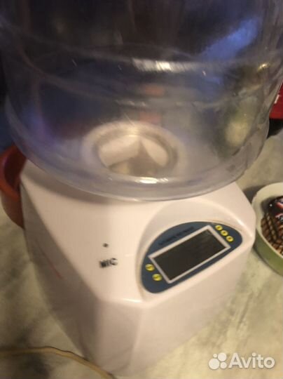 Автокормушка для кошек