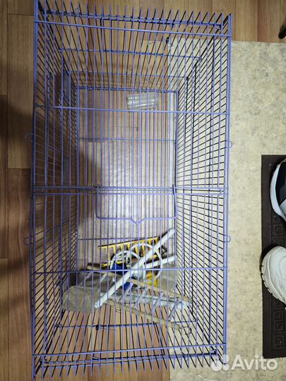 Клетка для животных