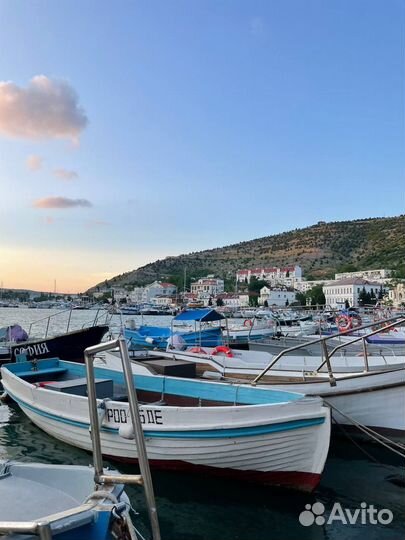 Прогулки с дельфинами