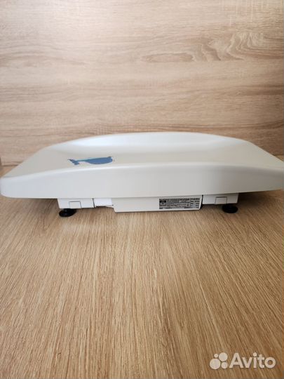 Весы для новорожденных Саша Аренда Напрокат