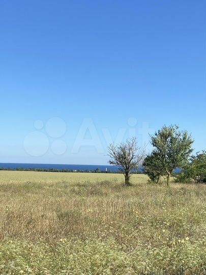 Участок 100 сот. (СНТ, ДНП)