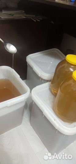 Мёд майский (акация)