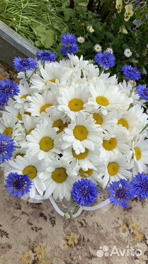 Букет из ромашек