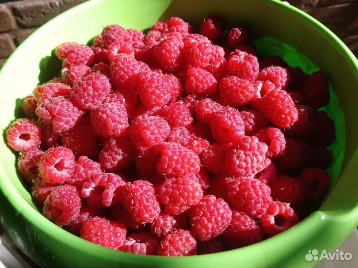 Малина крупная ягода