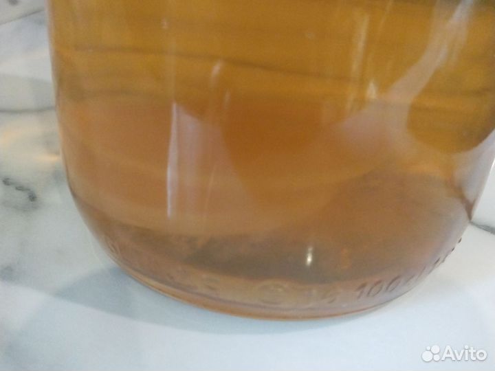 Чайный гриб