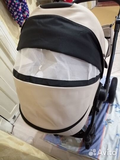 Коляска 2 в 1 belino prima от aroteam