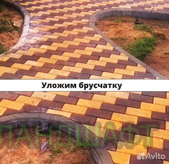 Стандартный рулонный газон 2-х летний Одинцово