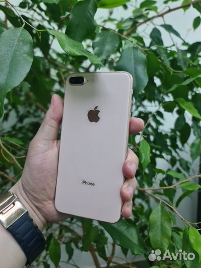 iPhone 8 Plus, 256 ГБ