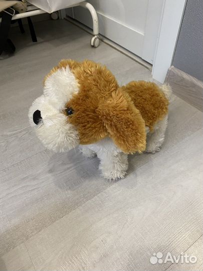 Собака робот