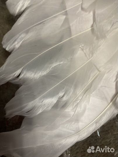 Крылья ангела белые