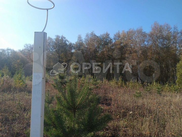 Участок 20 сот. (СНТ, ДНП)