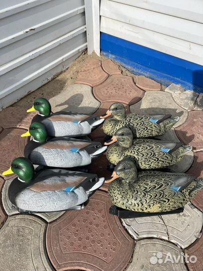 Чучела уток