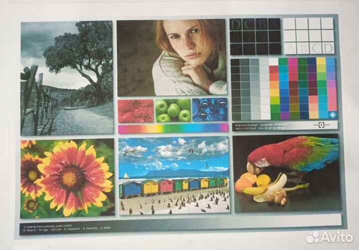 Мфу струйный Epson XP 406 с WiFi