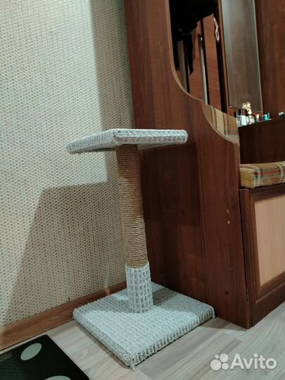 Когтеточка, миска