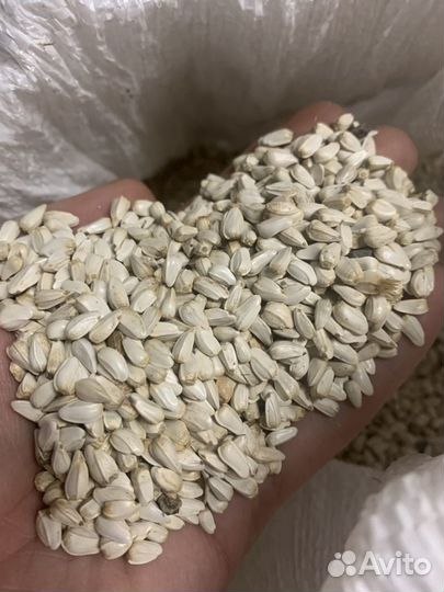 Горох, нут в мешках