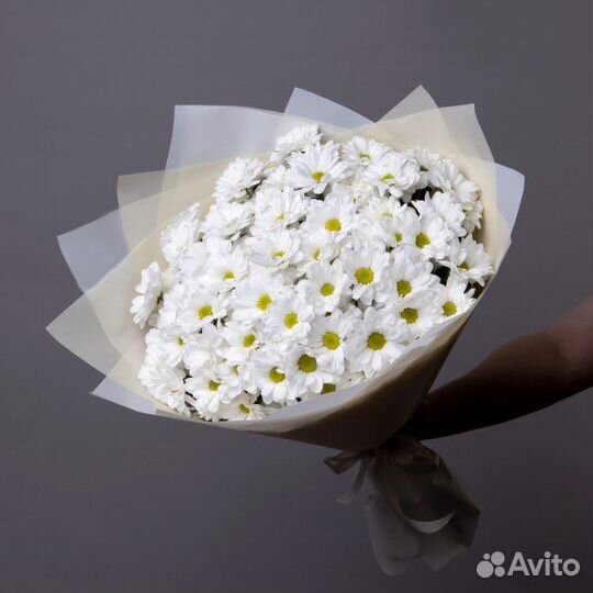 Букет из Хризантем. Букет. Цветы с Доставкой