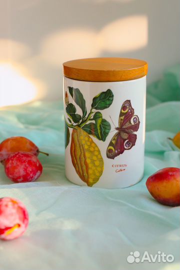 Банка бисквитница Portmeirion Botanic Garden