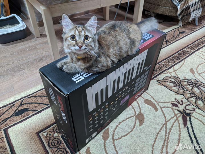 Синтезатор Akai MPK25