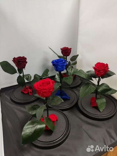 Роза в колбе оптом