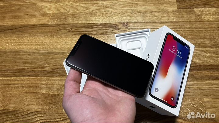 iPhone X, 256 ГБ