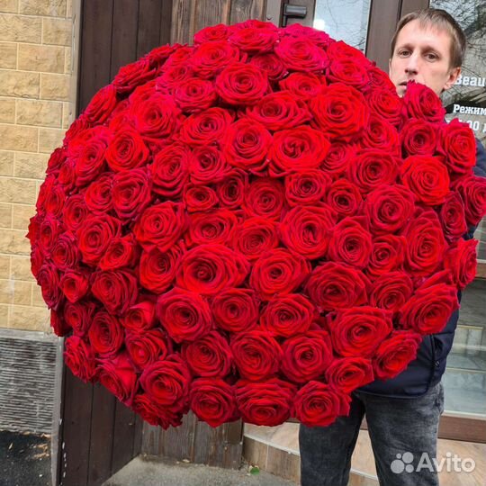 Высокие красные розы премиум качество 25 51 101 шт