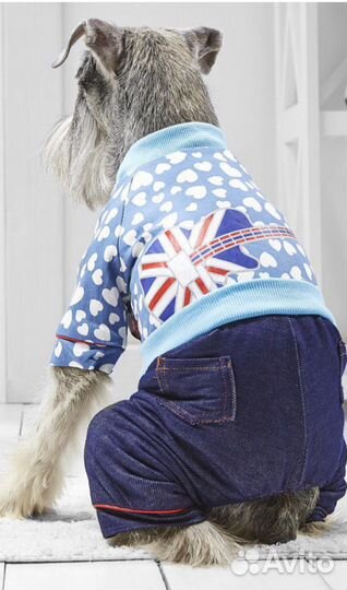 Комбинезое Лондон для собак мини