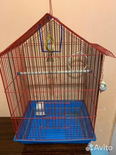Клетка для попугая