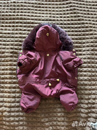 Одежда для собак мелких пород