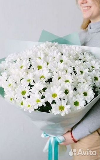 Хризантема Доставка цветов