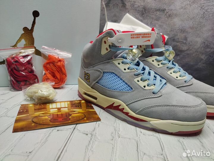 Баскетбольные кроссовки Nike Trophy x Air Jordan 5