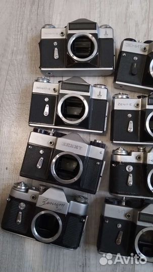 Тушки зенит 40шт