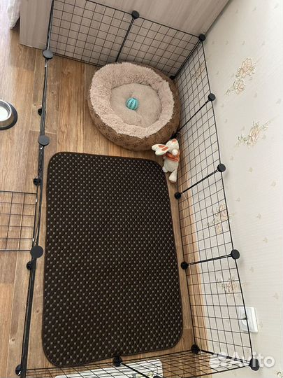 Клетка для собак