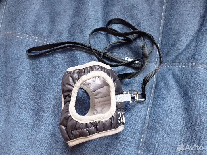 Шлейка с поводком для маленькой собаки