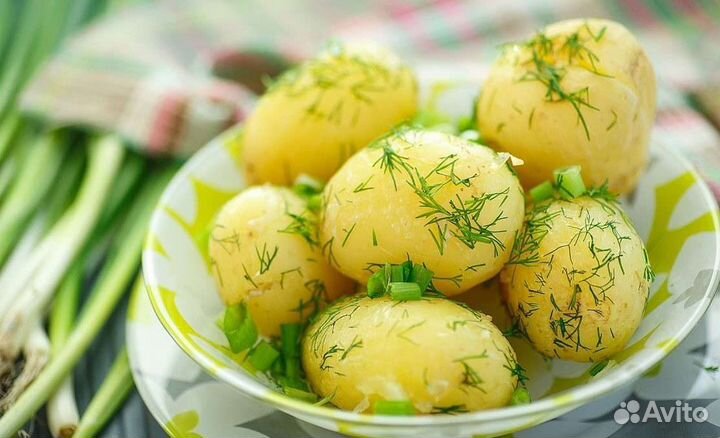 Лучшие сорта картофеля с доставкой бесплатно по го