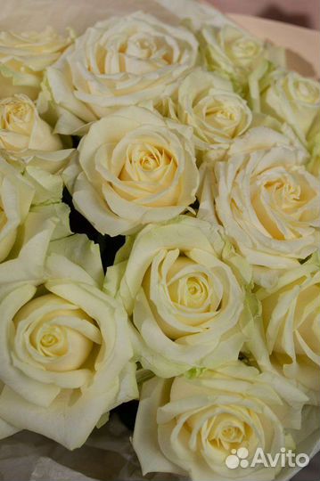 Букет из белых роз