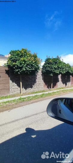 Подпорные габионы цоколь 50*50мм в наличии