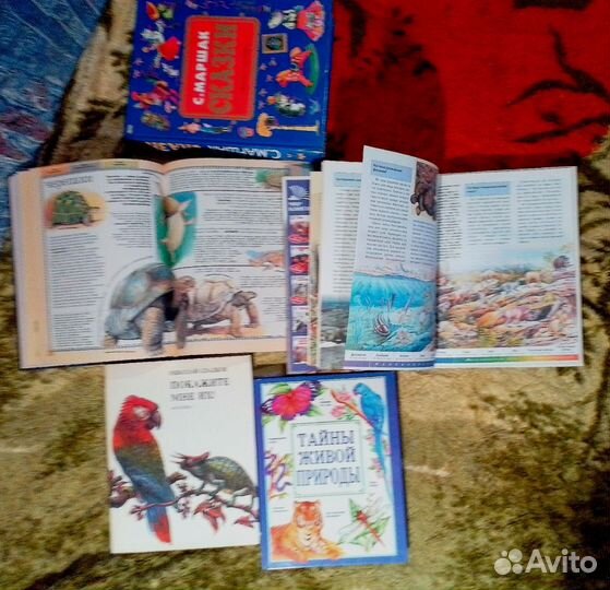 Энциклопедии и детские книги стихи