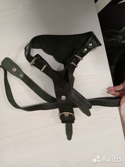 Амуниция для собак