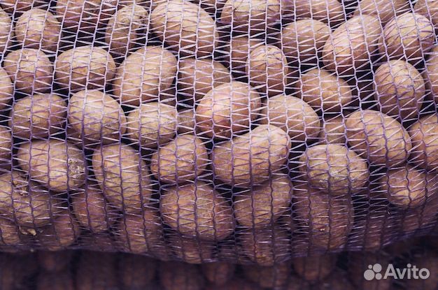 Картофель 3 сетки