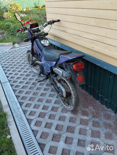 Зид пилот 50