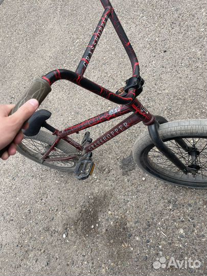 Bmx tech team grasshopper