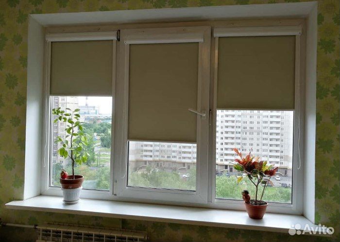 Рулонные шторы блэкаут Черняховск