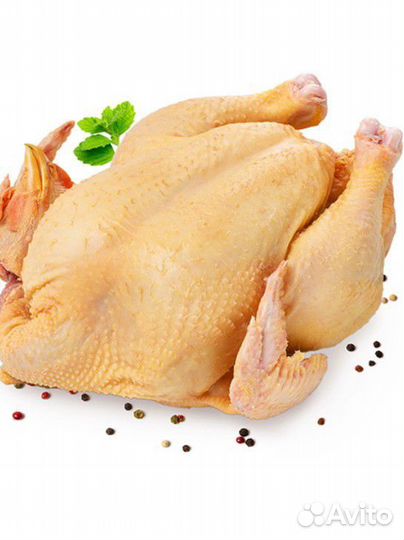 Куры домашние сыр Адыгейский