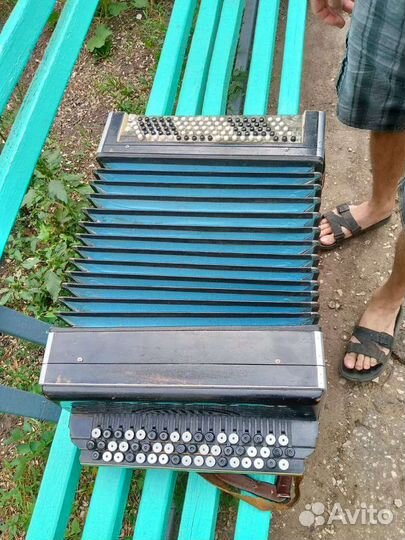 Баян тульский