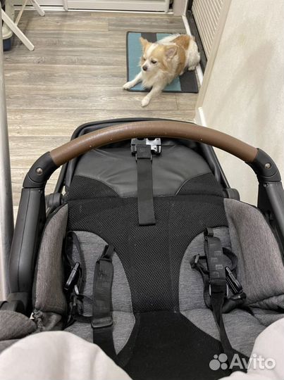 Коляска 2 в 1 espiro next