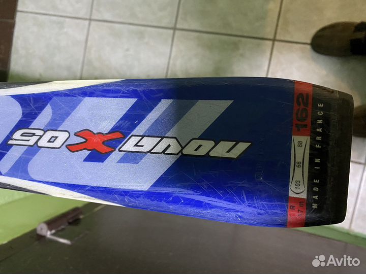 Горные лыжи