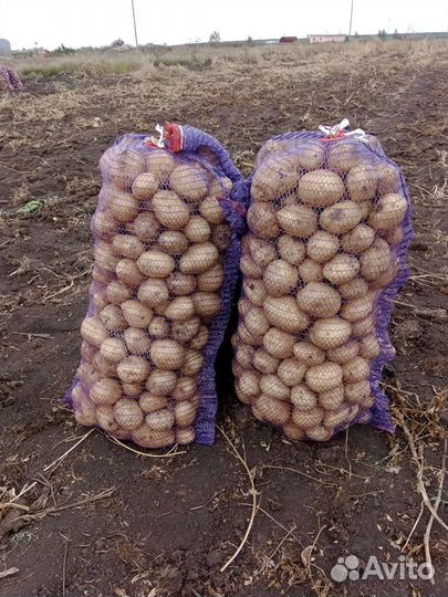 Картофель деревенский с доставкой