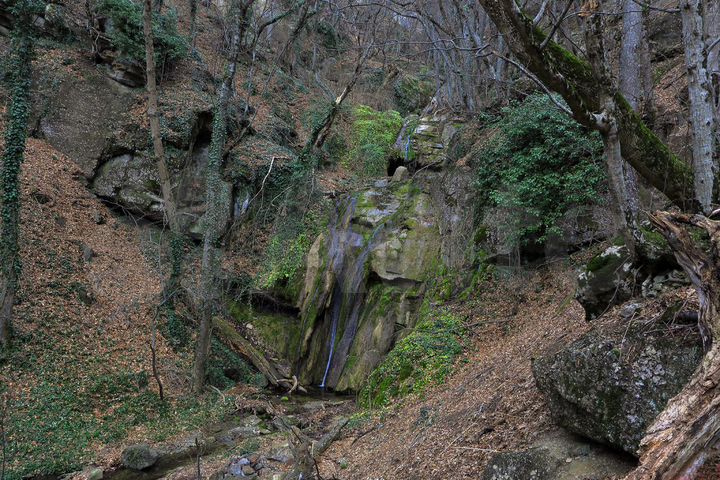 Участок 100 сот. (ИЖС)