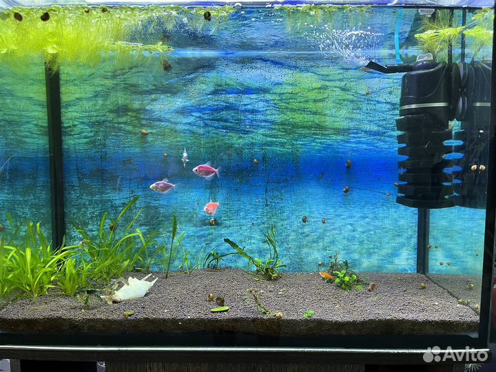 Аквариум с тумбой бу