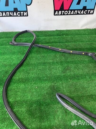 Уплотнитель двери задней правой Ford Ranger 4 T6.2